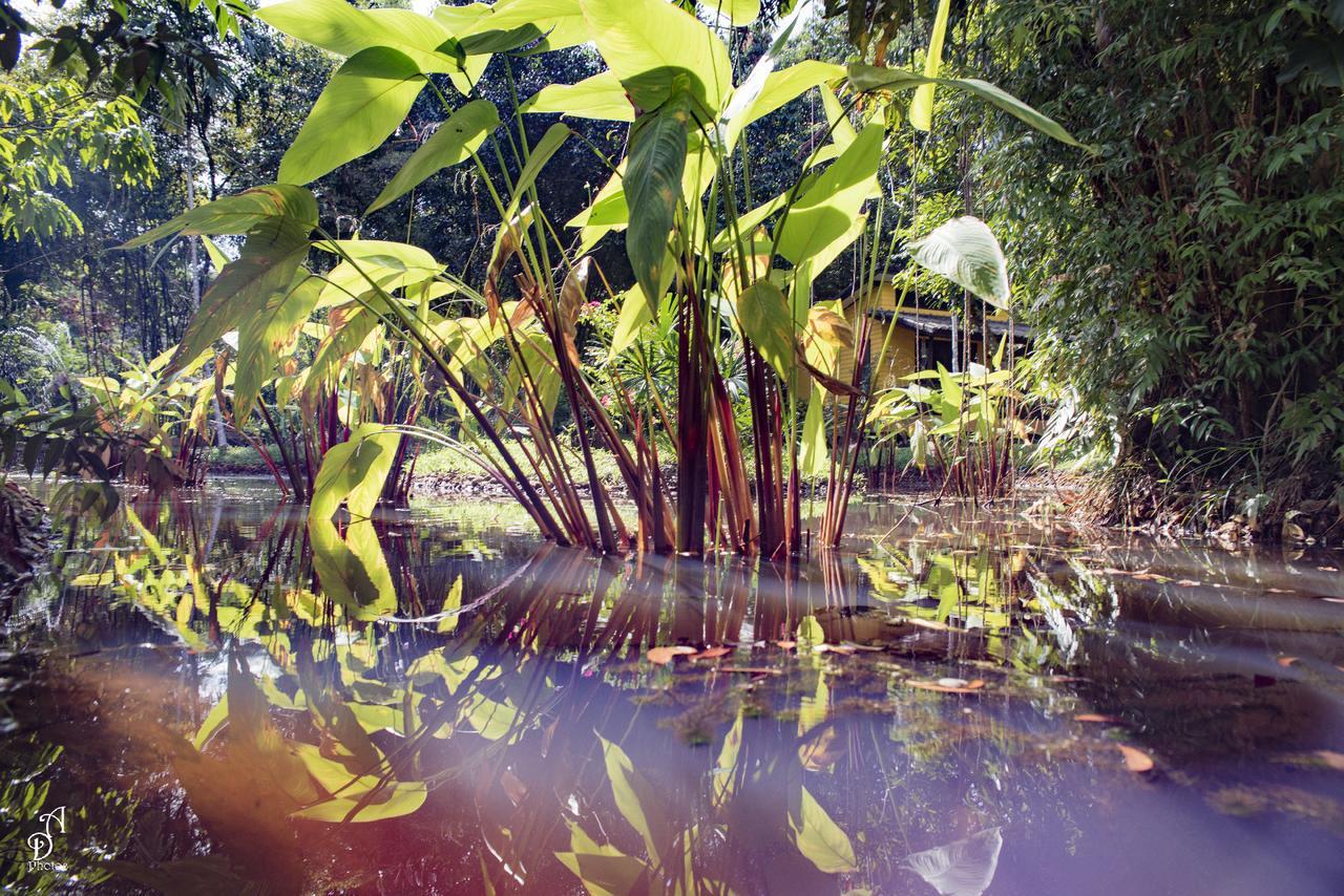 Hotel Garden Of Joy Koh Chang Exterior foto